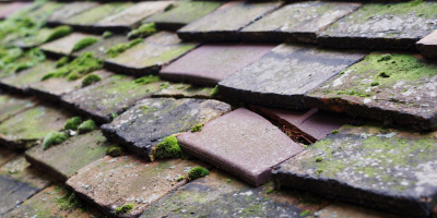 Ubley roof repair costs